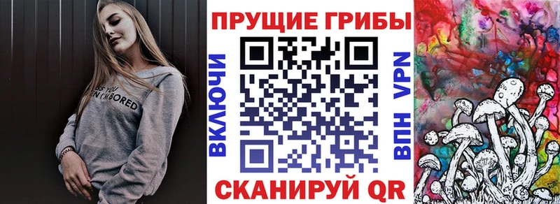 закладки Кремёнки KRAKEN ссылки Псилоцибиновые грибы прущие грибы